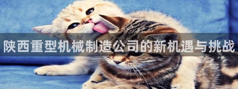 富联娱乐发展历程