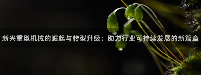 富联娱乐主管做判官333oo