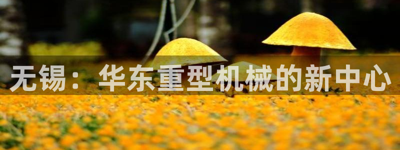 富联娱乐发展历程