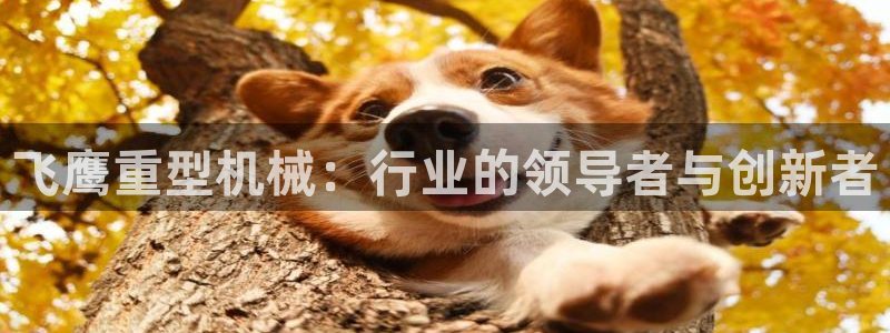 富联娱乐app更新时间