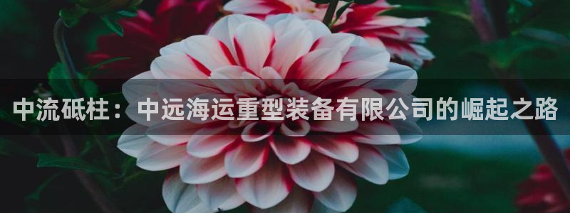 富联娱乐最新消息今天