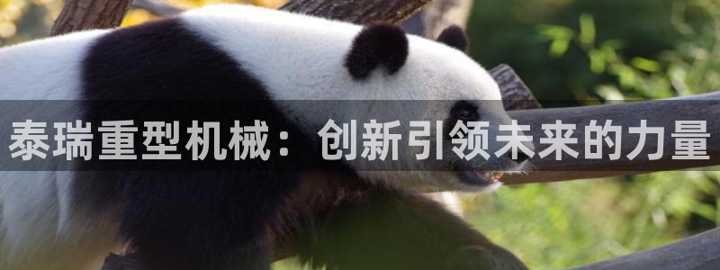 富联娱乐官方网站入口网址