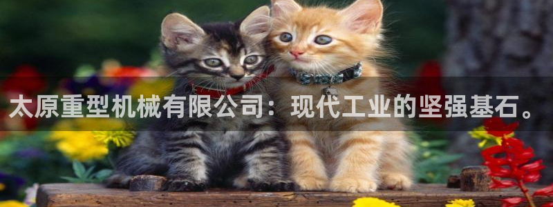 富联娱乐q