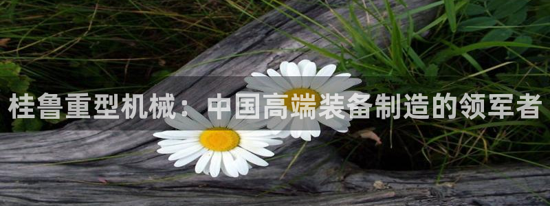 富联2娱乐查判官333OO