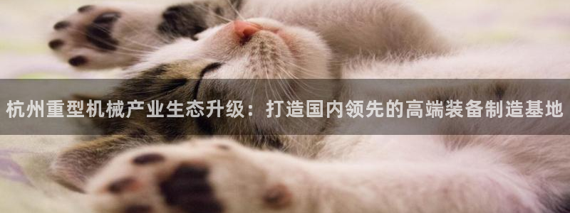 天富娱乐联772332