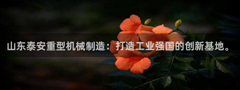 富联娱乐地址查询系统