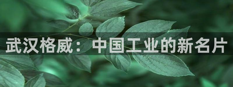 富联2娱乐首页下载
