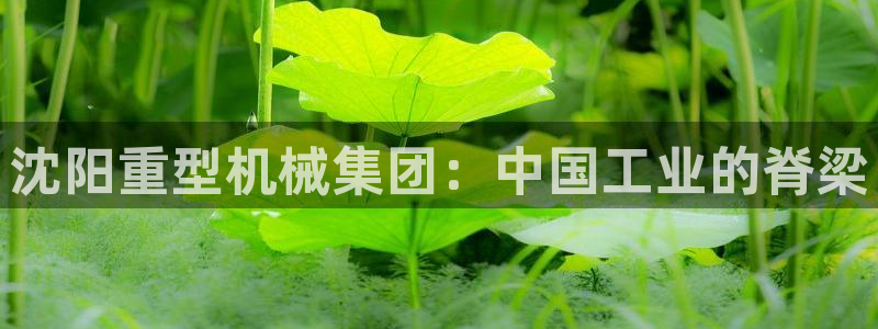 富联娱乐测速地址是什么