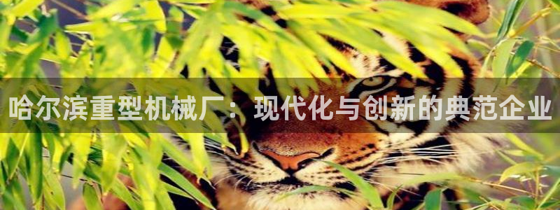 富联娱乐最稳定app