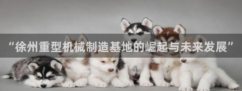 富联娱乐总代理电话