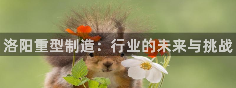 富联娱乐地址查询系统