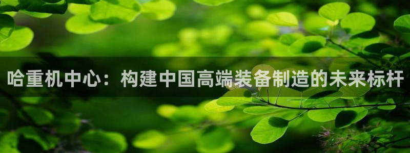 富联娱乐女团是谁的粉丝
