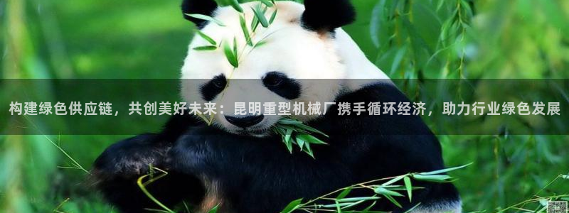 富联娱乐元哥53551