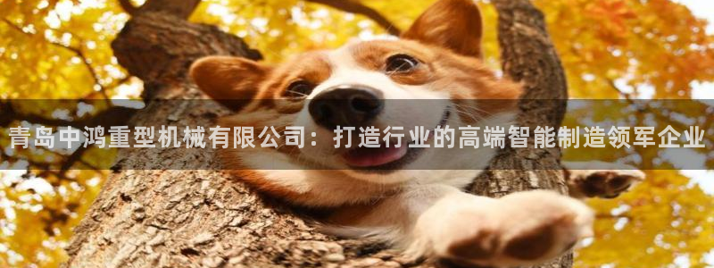 富联娱乐客户端官网下载