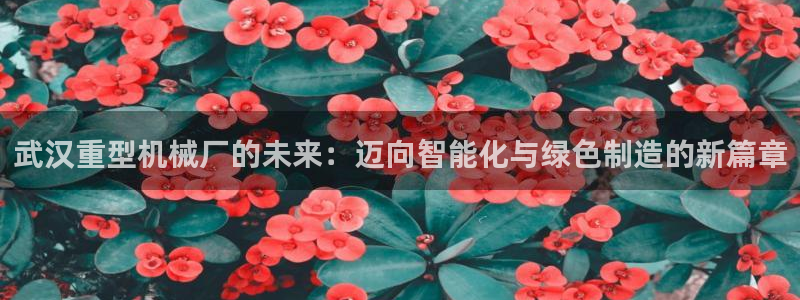富联娱乐主管料判官333OO
