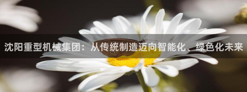富联娱乐分红