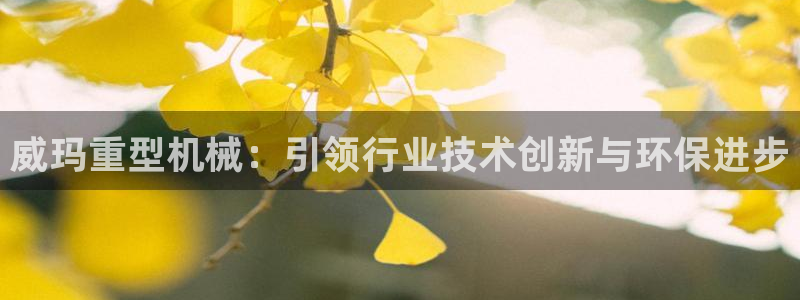 富联娱乐认定七八六