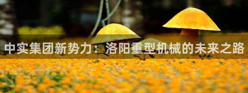 富联娱乐服务公司