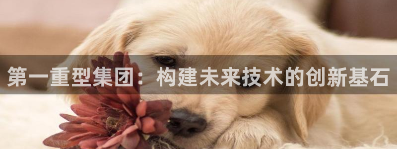 富联娱乐在线观看