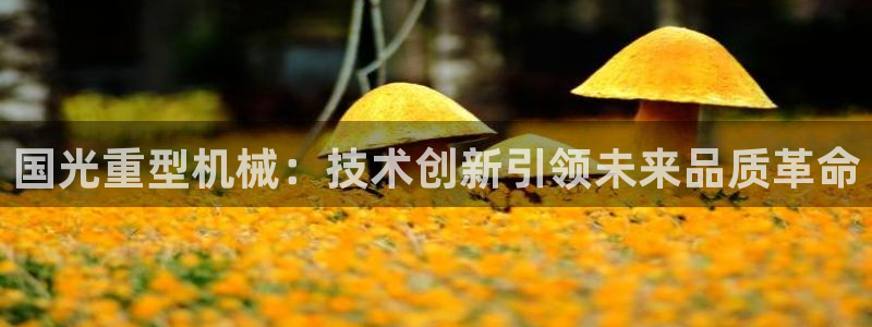 富联娱乐主管研判官333OO