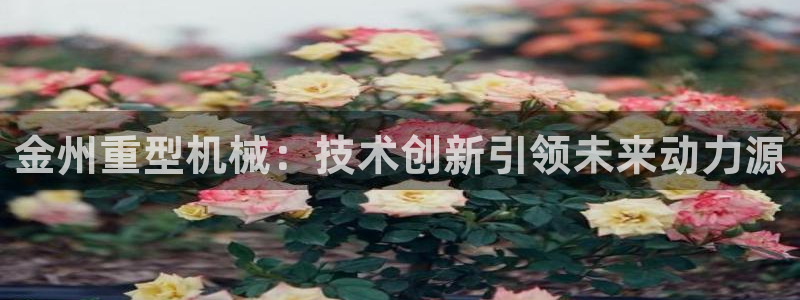 富联娱乐招商主管是谁